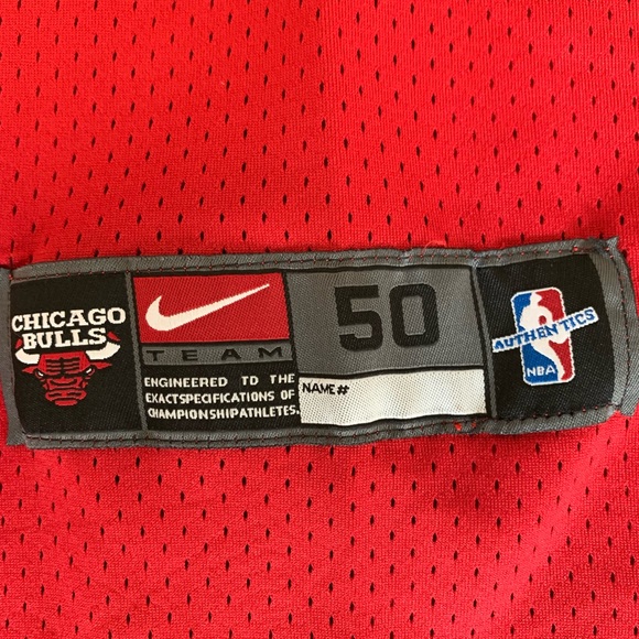 AUTHENTIC Chicago Bulls Scottie Pippen Nike Jersey - Picture 4 of 8